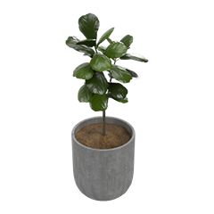 Medium planter